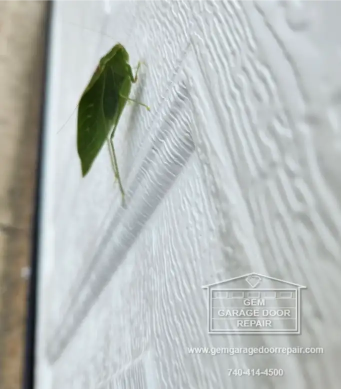 Little Helpers on the Job Site (Photo 1)