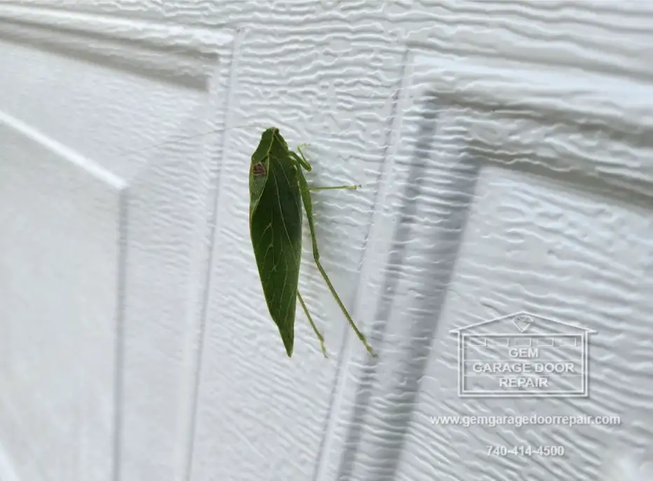 Little Helpers on the Job Site (Photo 3)