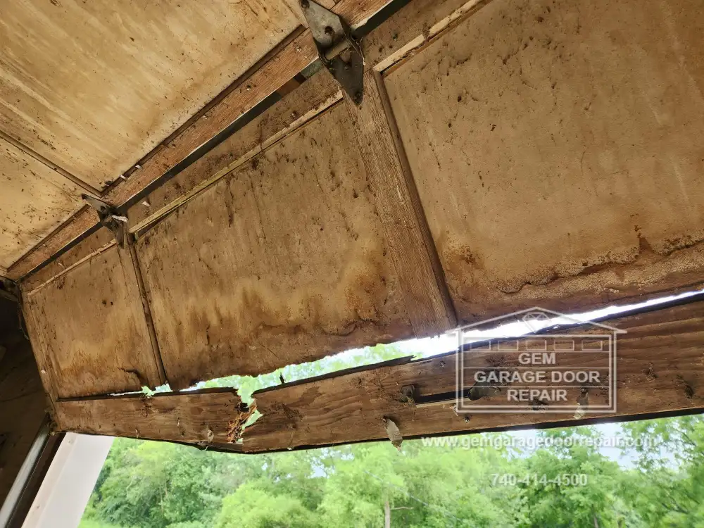 Rotted Door Replacement & Security Upgrade (Photo 3)