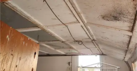 Smart Opener & Standard Panel Upgrade (Photo 4)