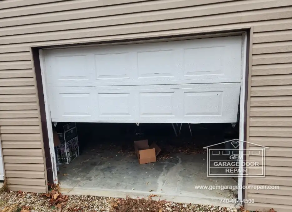 Steel-Backed Doors & Smart Belt Openers (Photo 4)